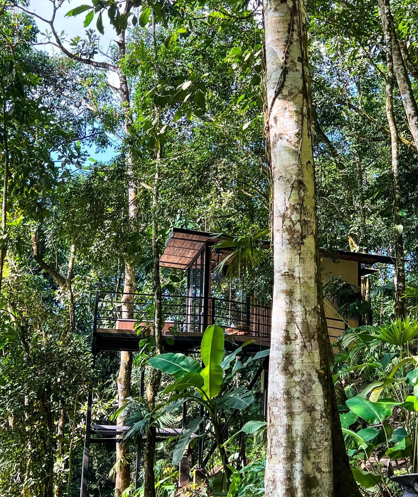 Hotel Rincon De La Sierra Minca Exterior foto